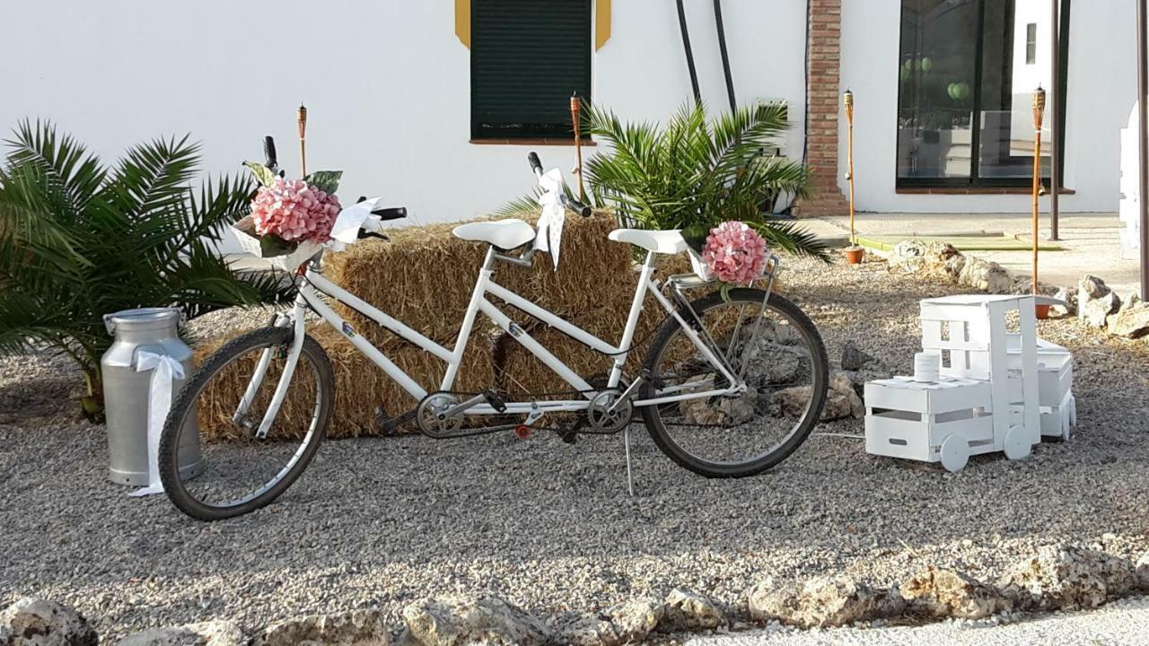 Alojamiento Rural El Chaparral Setenil De Las Bodegas Zewnętrze zdjęcie